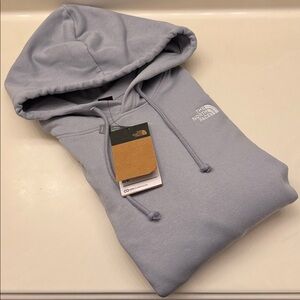 The North Face Women's Evolution Simple Dome Oversized Hoodie